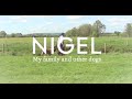 Monty Don Introduces NIGEL My Family And Other Dogs