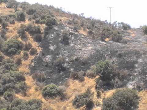 Cyprus Explosion , Zygi city , Naval Base 2011 07 11 (slideshow)