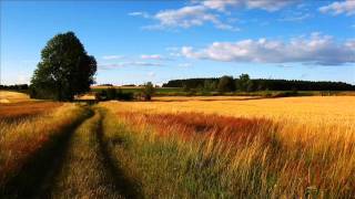 Ой у полі древо - Ніна Матвієнко