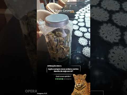Operação Zira’A cumpre ordens por desvio de soja em MT