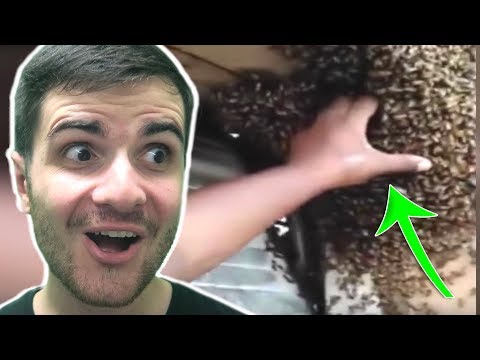 JE REGARDE DES VIDEOS DE GENS INCONSCIENTS ! (Compilation)