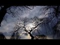 Boyd Raeburn - Forgetful 1945