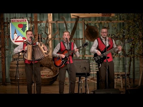 Ansambel Udar | Bronasti klopotec | 29. Festival Cerkvenjak 2016