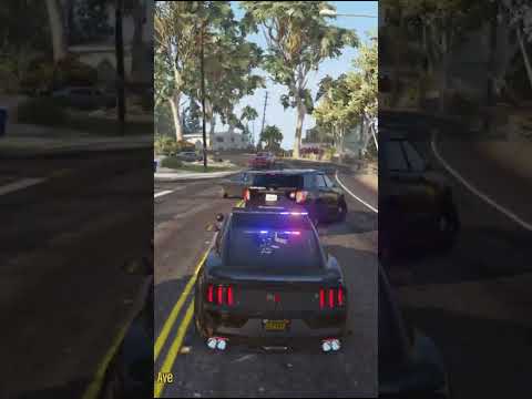 Suspect Speeds Around Paleto Bay  - GTA 5 LSPDFR
