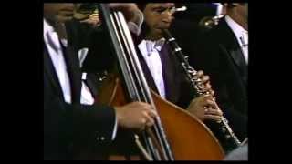 EPIC double bass pizzicato (Excerpt from Dvorak Symphony No.9 Mvt.2)