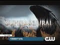 Vintage Commercials 2008 CW Commercial Break 1