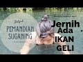 KUNJUNGI SEBELUM RAME PEMANDIAN SUGANING BANGLI BALI