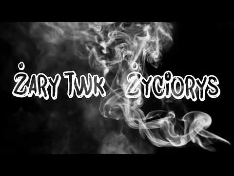 Żary TWK - Życiorys