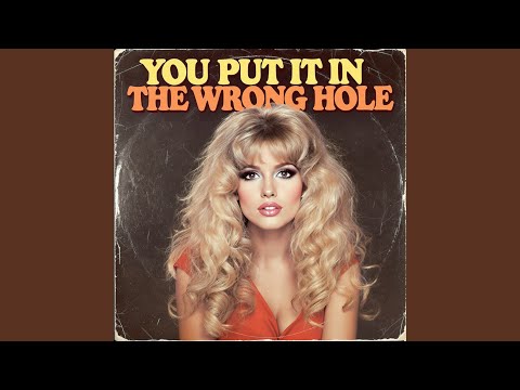 You Put It in the Wrong Hole