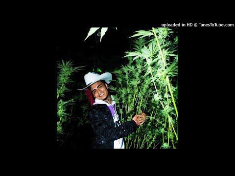 [FREE] LIL PUMP x SMOKEPURPP x COMETHAZINE TYPE BEAT 2020 | prod. klimonglue x фрози