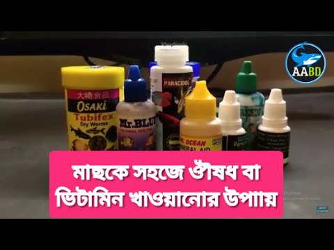 ভিডিও-১