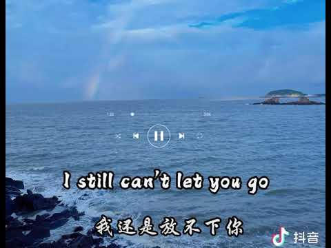 I wish you could stay-NiExShadow