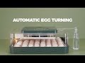 The Ultimate Egg Incubator? Sailnovo 56 Egg Incubator – Hatch Like a PRO! 🐣🔬