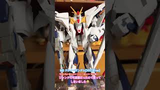 【HG クシィーガンダム】ジャンク品で可哀想になり購入。誰かが作ったモノ