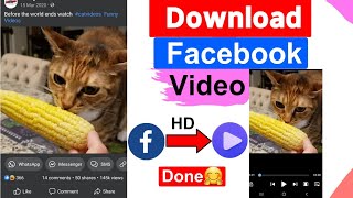 How to Download Facebook Video in 2023 [Updated]