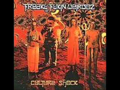 Freaky Fukin Weirdoz / Desert Storm ( Marco Minnemann drums)