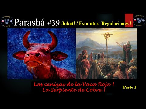 Parasha #39 Jukat!/Estatutos.Parte 1.CETCR 2021.La Vaca Roja, Agua de Meriba y la Serpiente de Cobre