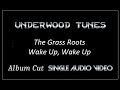 The Grass Roots ~ Wake Up, Wake Up ~ 1967 ~ Single Audio Video
