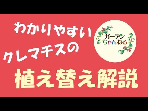 クレマチスの植え方は？おまけとして、適切にメンテナンスしてトリミングするためのヒントもお届けします。  庭園