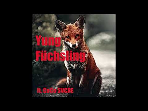 Coco Svcre x Yung Füchsling - Dreamteam(prod. Coco Svcre)