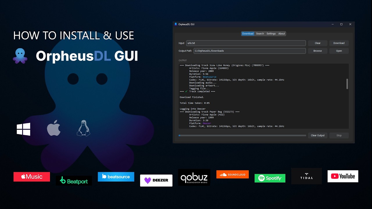 Windows Installation