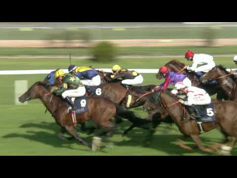 CH, 15. 8. 2020, 7. dostih - CENA LINO DESIGN