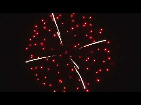 DS04 4inch red peony with coco pistil 椰芯红牡丹