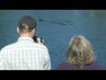 Sperm Whale Causes A Big Splash In Norway