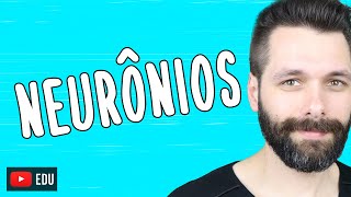 Os NEURÔNIOS são fantásticos! | Biologia com Samuel Cunha