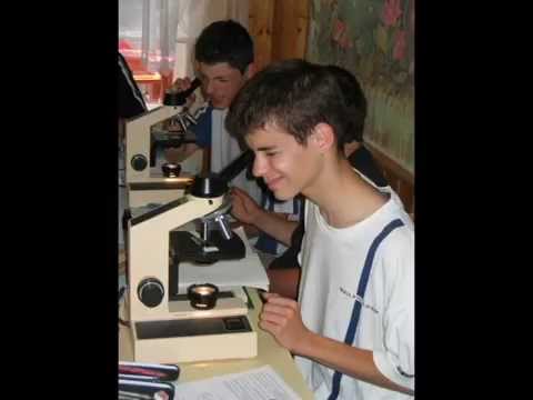 Stop motion