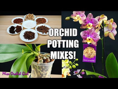 , title : 'What is the best Potting Mix for your Orchid? - Learn about Orchid Media! Orchid Care for Beginners
