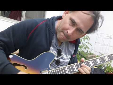 Johnny Burgin: Son Seals, Modern Chicago Blues Guitar Lesson