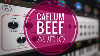Video thumbnail for Caelum Audio Beef Detailed Walkthrough by Gavinski’s Tutorials