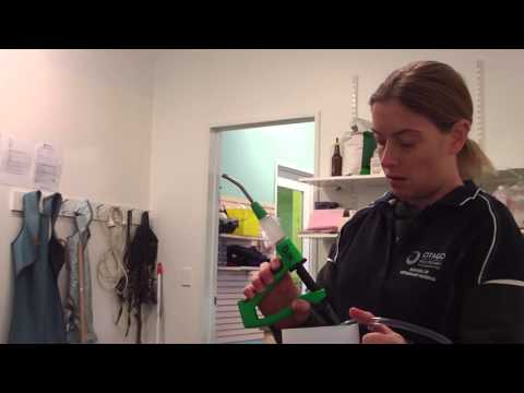 Calibration of drench gun 2mins25s