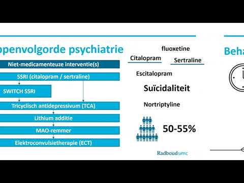Samenvatting Antidepressiva (Module E)