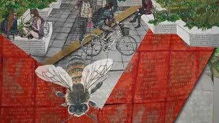 University of Derby video