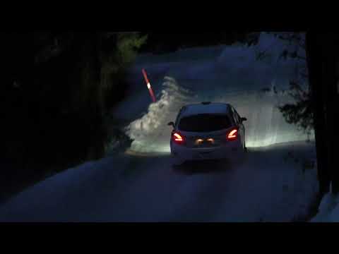 Røkland / Eriksen Sigdalsrally 2020, Peugeot 208 R2
