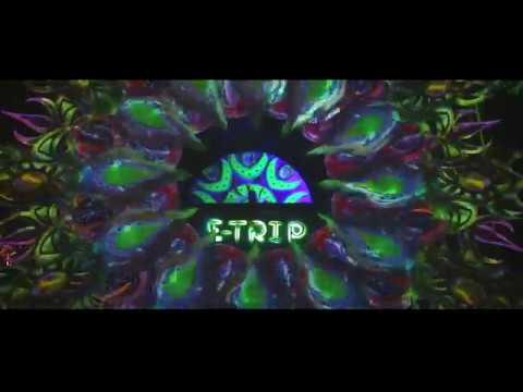 Aftermovie Pepe Jones @ E-Trip ❁New Year #4