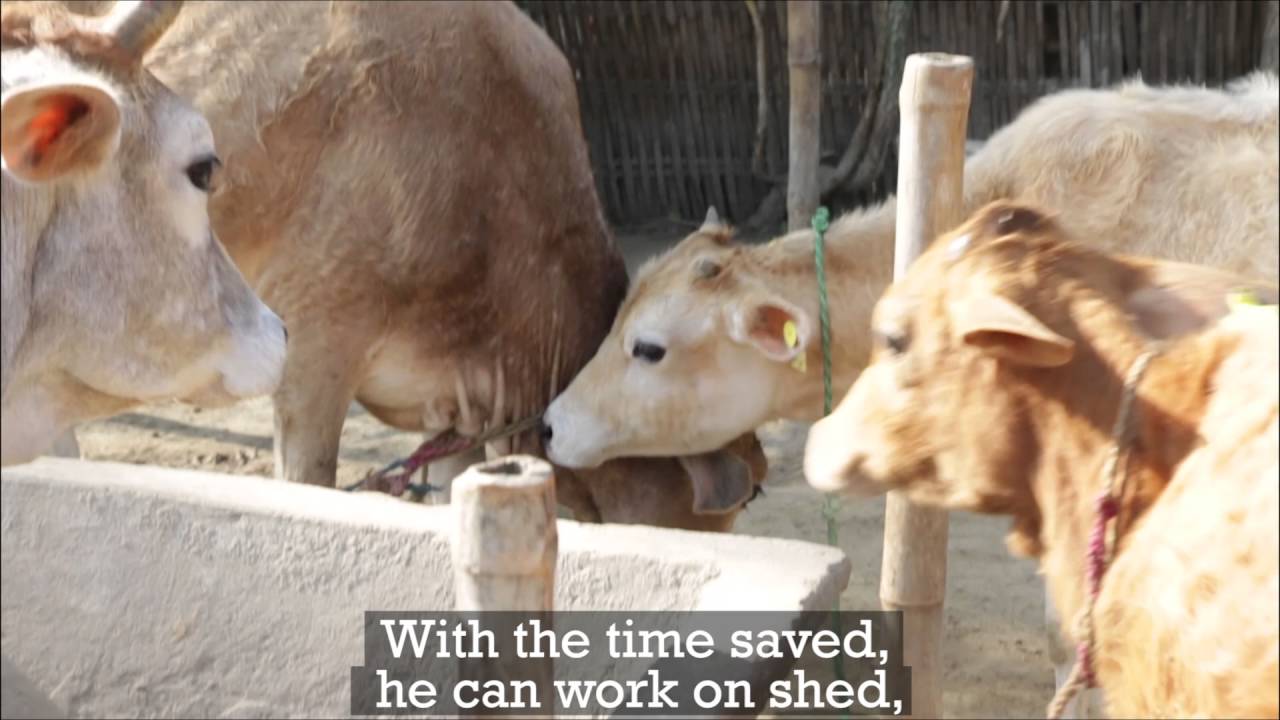 Is Motorbike Luxury or Need?