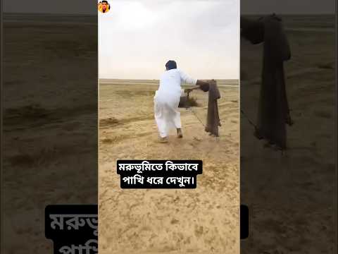 প্রতিদিন সকালে এভাবেই সোনিয়া পা