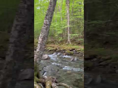 video of creek