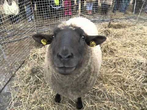 RET - RET- Pojď blíž