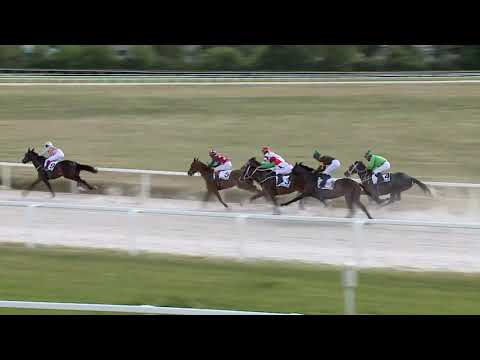 2020.05.24. 04. futam-  PAPOLCZY GÉZA EMLÉKVERSENY HENDIKEP (II.o.) (szintetikus pálya)