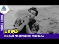 MGR Hits | Ulagam Pirandhadhu Enakkaga Video Song | Paasam Tamil Movie | MGR | Pyramid Glitz Music