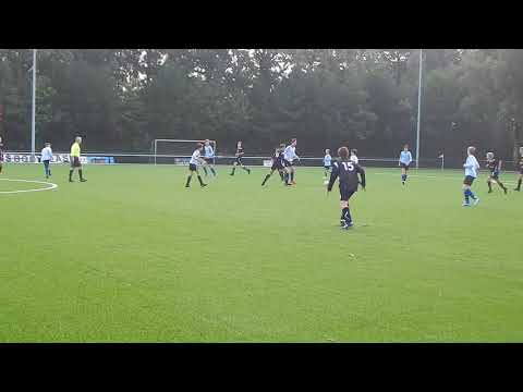 Valleivogels valt aan, PVC verdedigt beheerst uit.