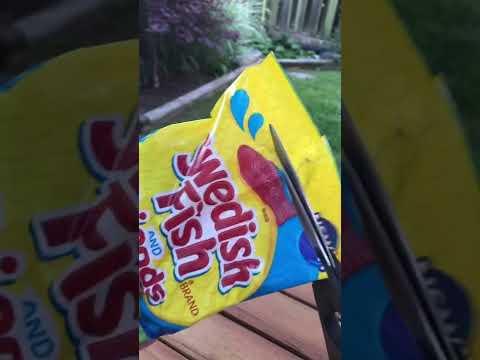 New Swedish Fish and Friends Candy! 🐬#shorts #candy #asmr