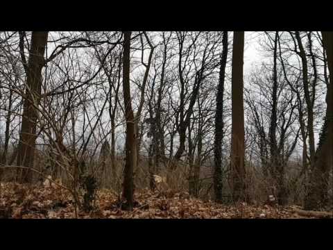 Sirenenprobe Stadtgebiet Aachen - 07.01.2017