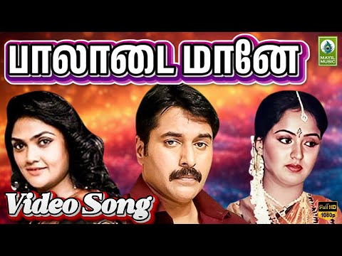 Song Cover Art for Paaladai Maane