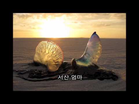 윤수미 (Sumie Yoon) 2곡 - 찿아온 바닷가 ∫ 서산 엄마 kpop 韓國歌謠