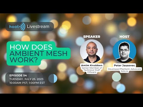 How does Istio Ambient Mesh work? | Solo.io